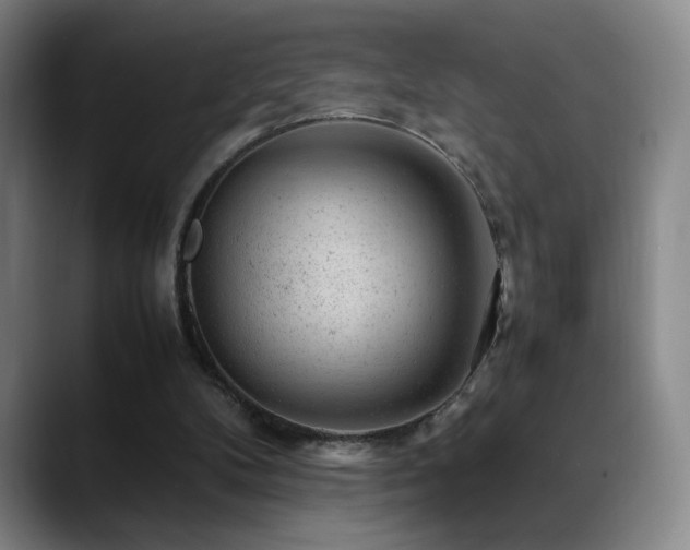 X0000089450104200706151439