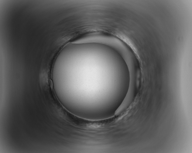 X0000089450105200706151439