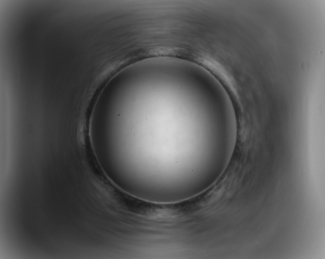 X0000089450107200706151439
