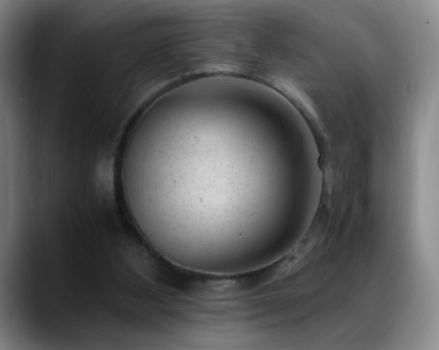 X0000089450108200706151439