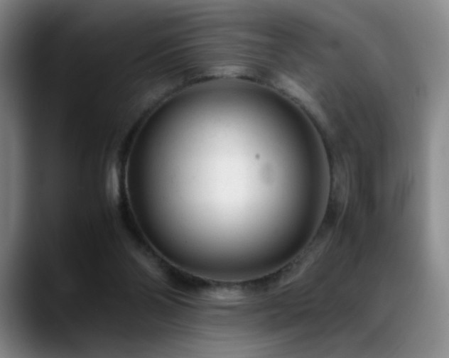 X0000089450110200706151439