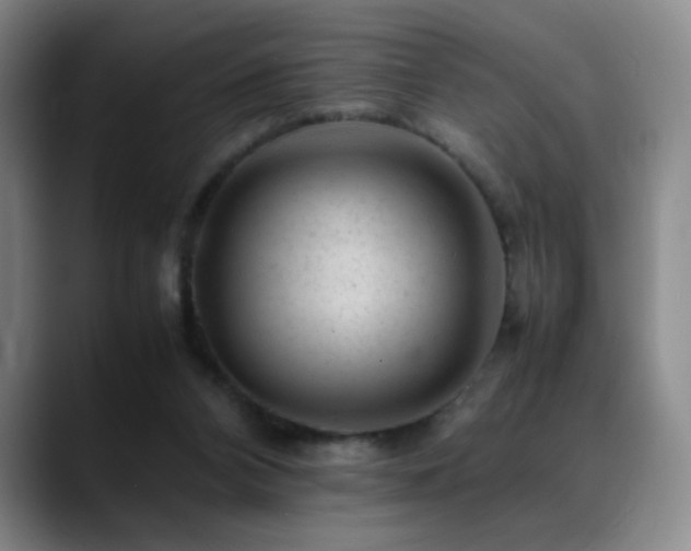 X0000089450112200706151439