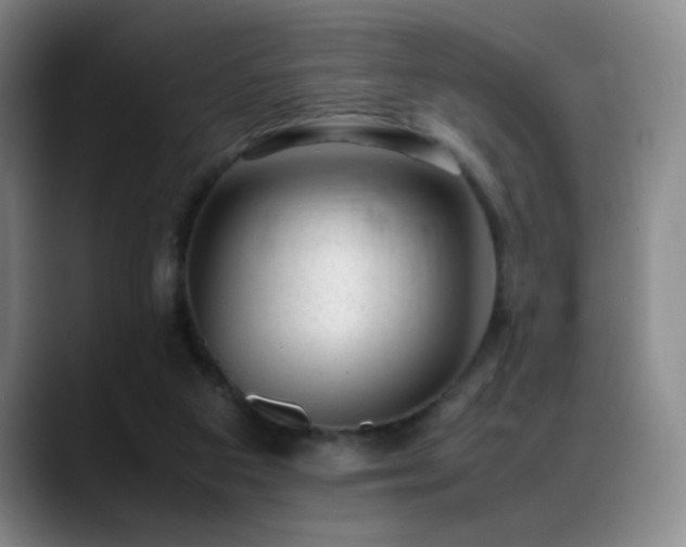 X0000089450113200706151439