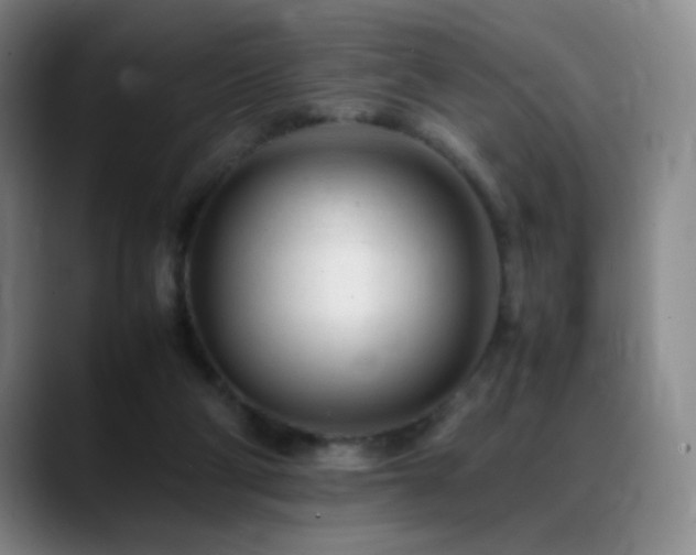 X0000089450114200706151439