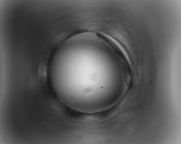 X0000089450115200706151439