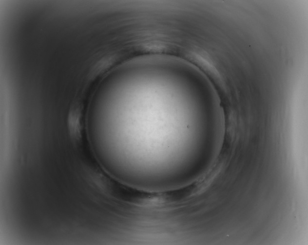 X0000089450116200706151439