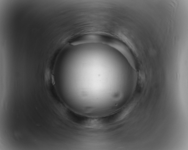 X0000089450117200706151438