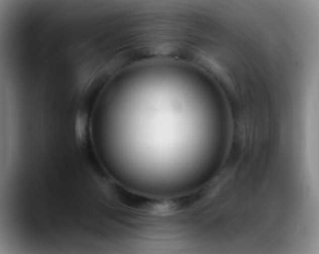 X0000089450118200706151438
