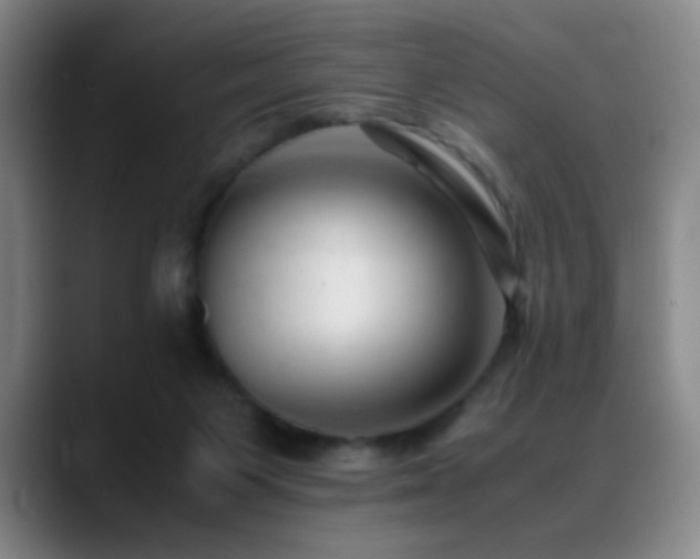 X0000089450119200706151438