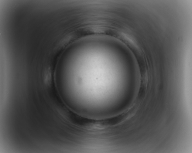 X0000089450120200706151438