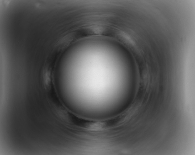 X0000089450122200706151438