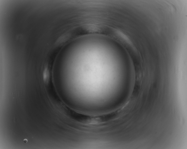 X0000089450124200706151438