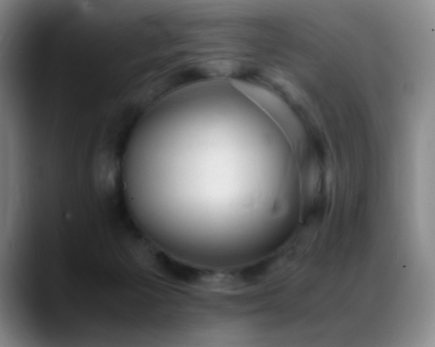 X0000089450125200706151438