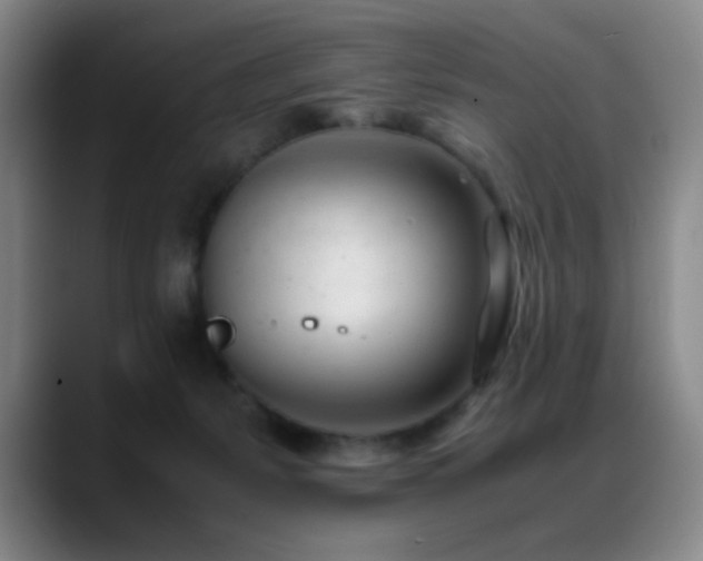 X0000089450127200706151438