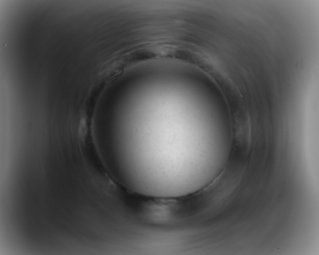 X0000089450128200706151438
