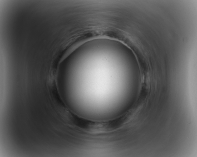 X0000089450129200706151438