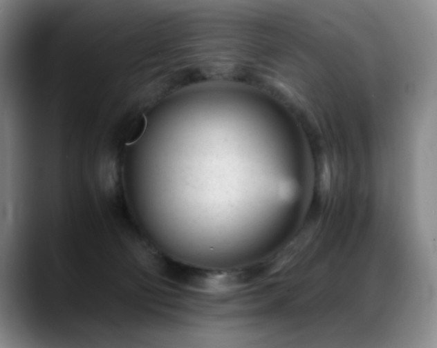X0000089450130200706151438