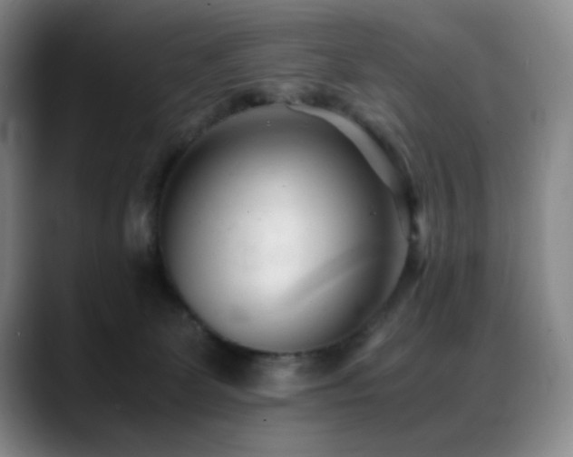 X0000089450131200706151438