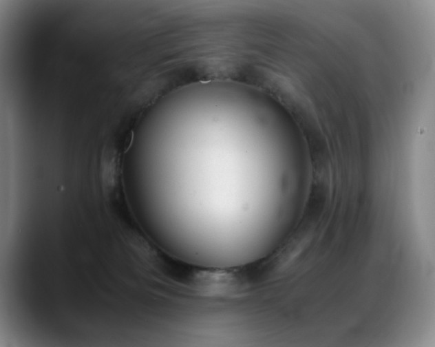 X0000089450133200706151438