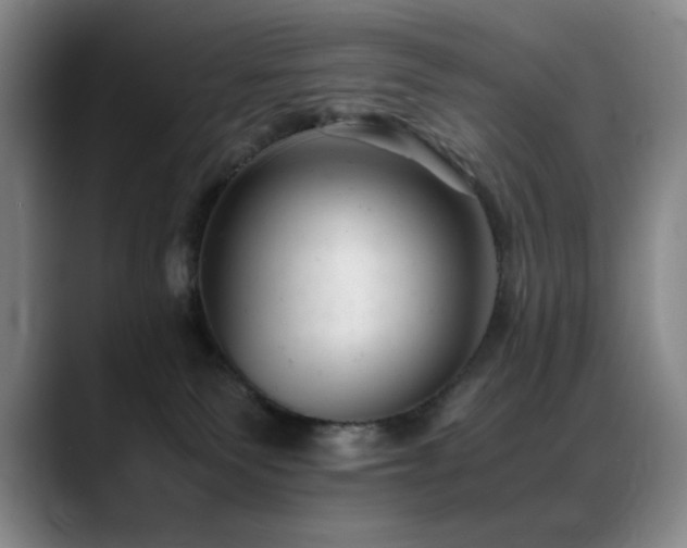 X0000089450135200706151438