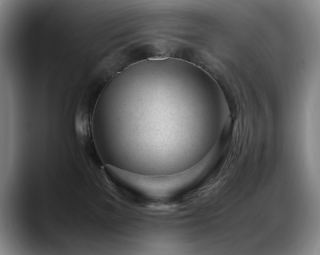 X0000089450137200706151438
