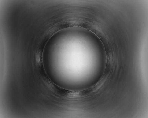 X0000089450138200706151438