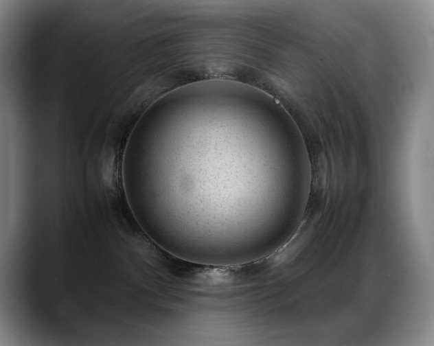X0000089450140200706151438