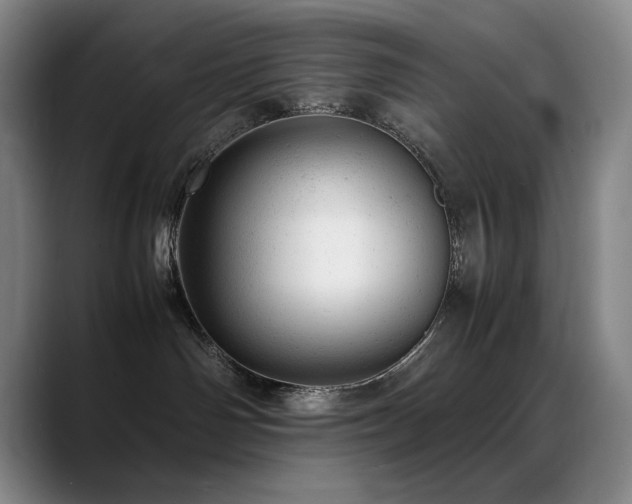 X0000089450142200706151438