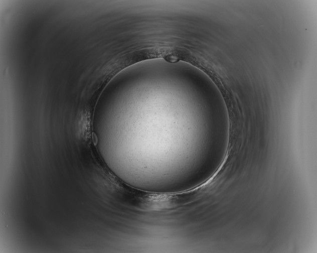 X0000089450144200706151438