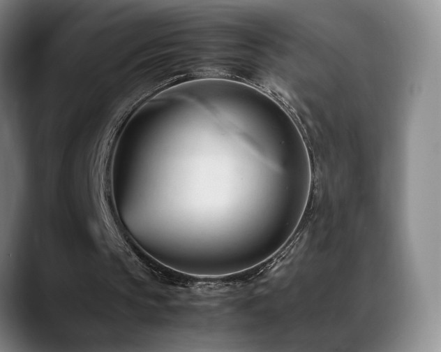 X0000089450145200706151438