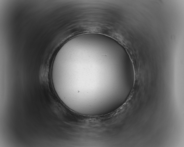 X0000089450146200706151438