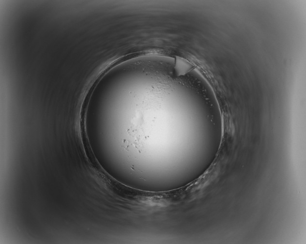 X0000089450147200706151438