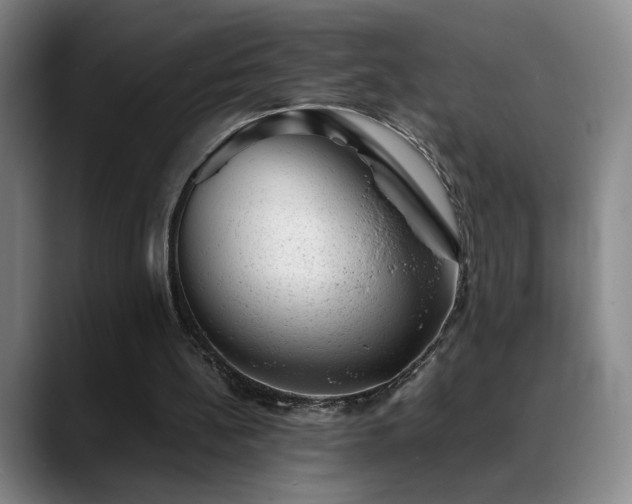 X0000089450148200706151438