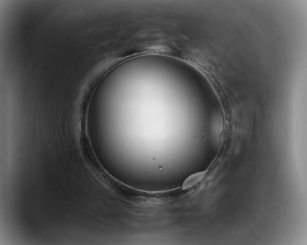 X0000089450149200706151438