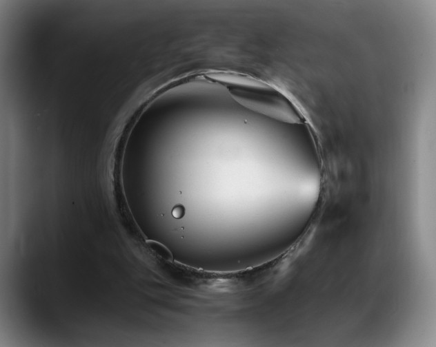 X0000089450151200706151438