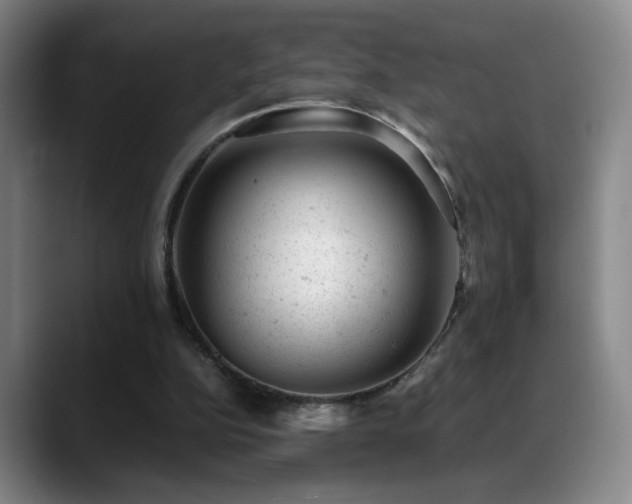 X0000089450152200706151438