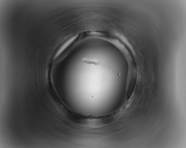 X0000089450154200706151438
