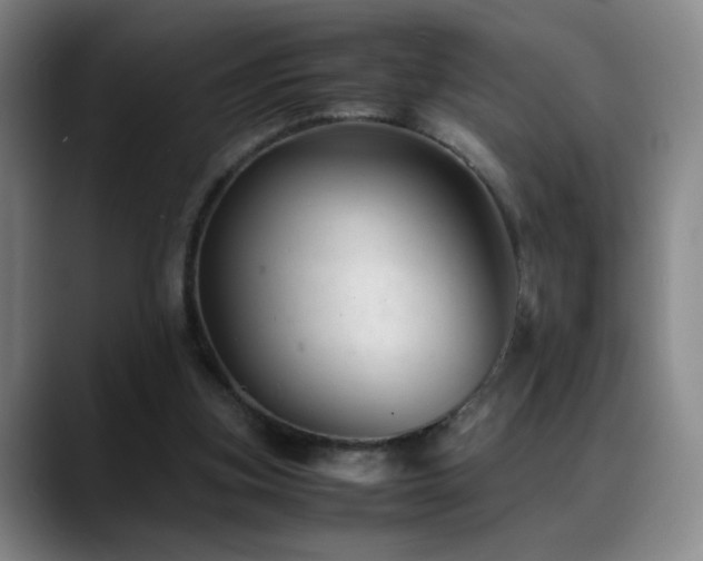 X0000089450155200706151438