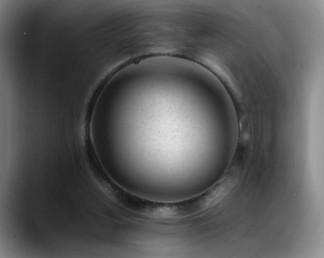 X0000089450156200706151438