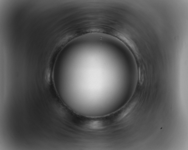 X0000089450157200706151438