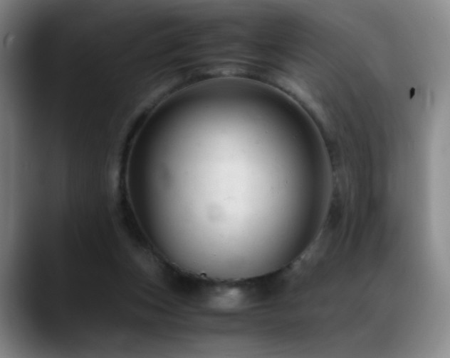 X0000089450159200706151438
