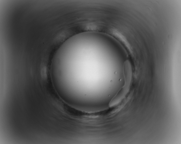 X0000089450161200706151438