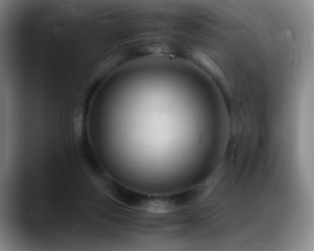 X0000089450163200706151438