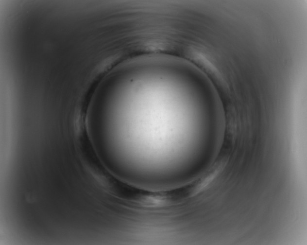X0000089450164200706151438