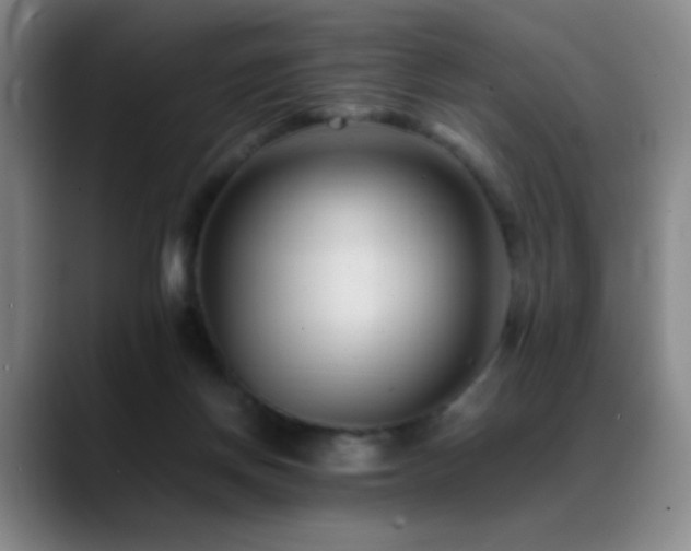 X0000089450166200706151438