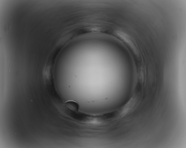 X0000089450167200706151438