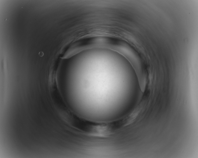 X0000089450168200706151438