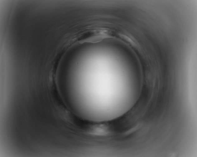 X0000089450169200706151438
