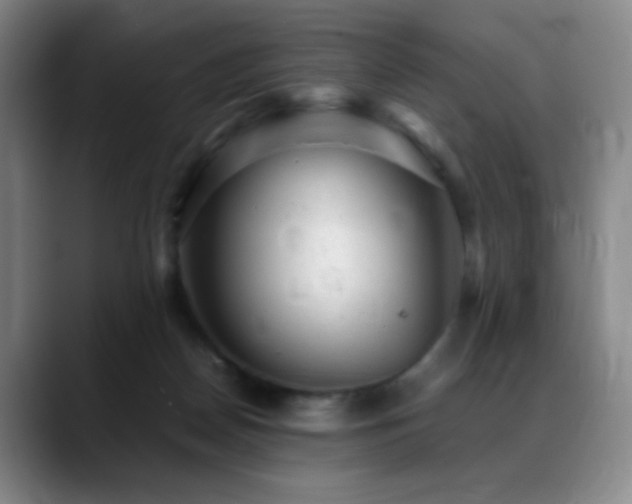 X0000089450170200706151438