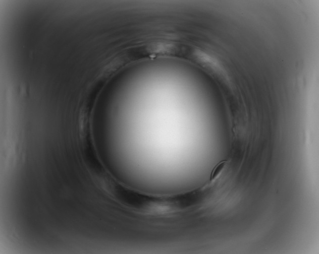 X0000089450171200706151438